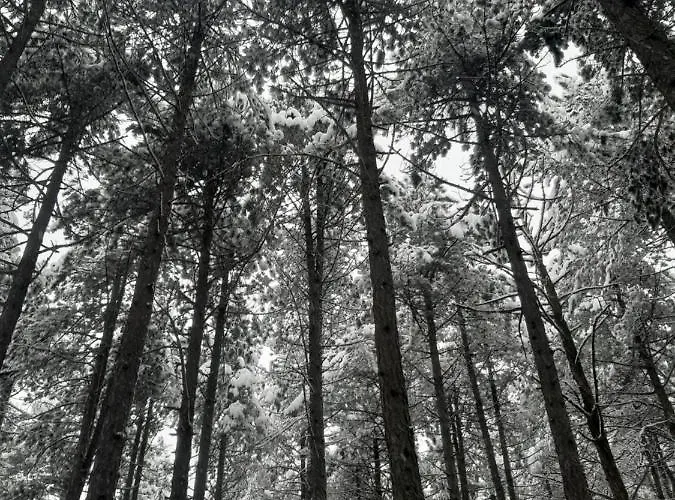 Mika Апартаменты Златибор