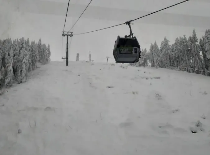 Апартаменты Mika *