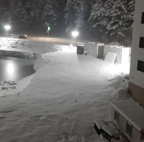 Апартаменты Mika Златибор