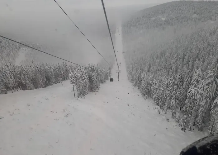 Апартаменты Mika