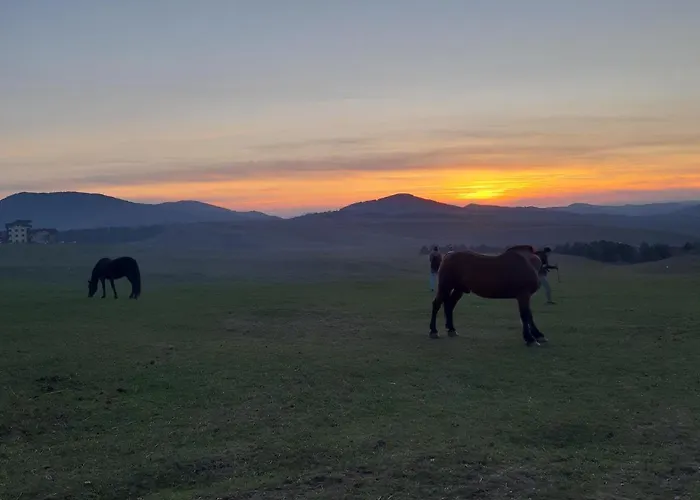 Апартаменты Mika