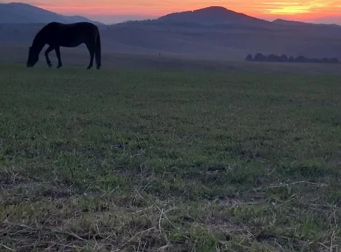 Mika Апартаменты *