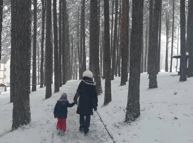 Mika Апартаменты *